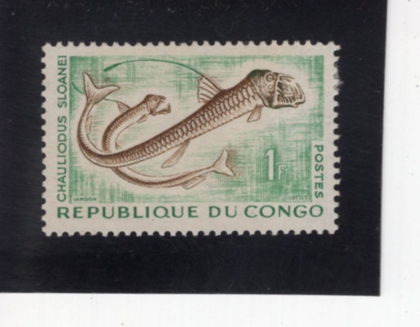 CONGO, PEOPLE\