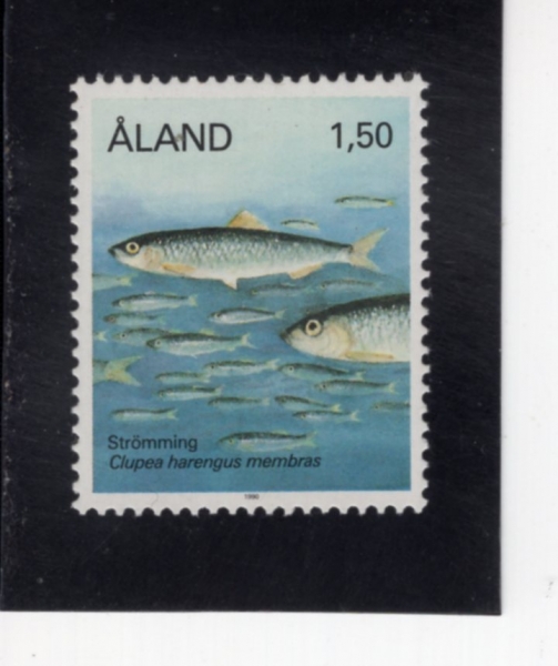 FINLAND-ALAND ISLANDS(�ö��� ����)-#36-1.50m-CLUPEA HARENGUS MEMBRAS(�뼭��û��)-1989.4.10��