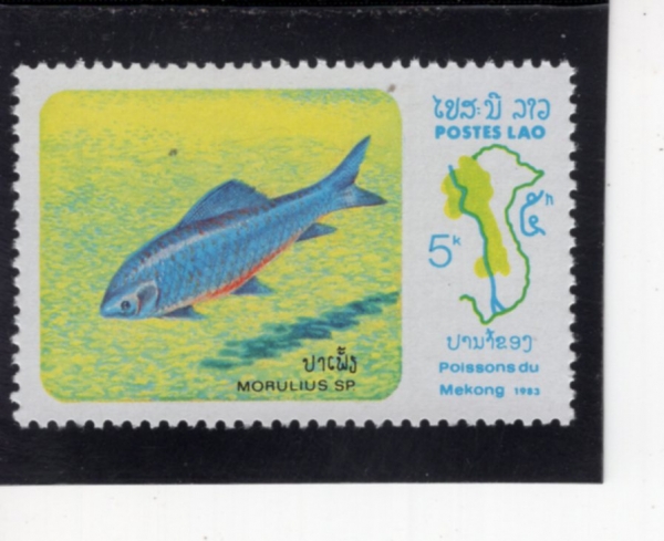 LAOS(�����)-#485-5k-MORULIUS SP(�ҽ����� ������ũ���)-1983.9.5��