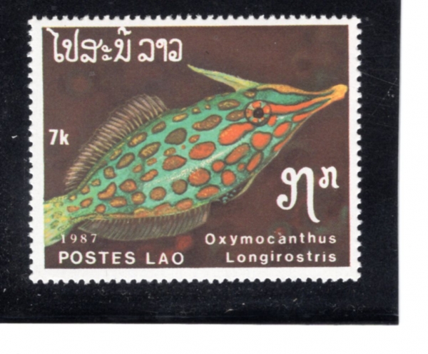 LAOS(�����)-#821-7k-OXYMOCANTHUS LONGIROSTRIS(��Ȳ�� ������ �ʵ��ǽ�)-1987.10.14��