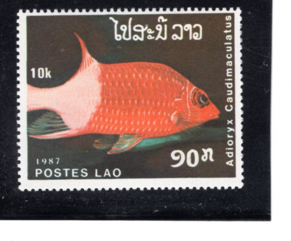 LAOS(�����)-#822-10k-ADIORYX CAUDIMACULATUS(�ٶ��㹰����)-1987.10.14��