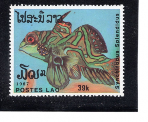 LAOS(�����)-#823-39k-SYNCHIROPUS APLENDIDUS(���ٸ��ǽ�)-1987.10.14��
