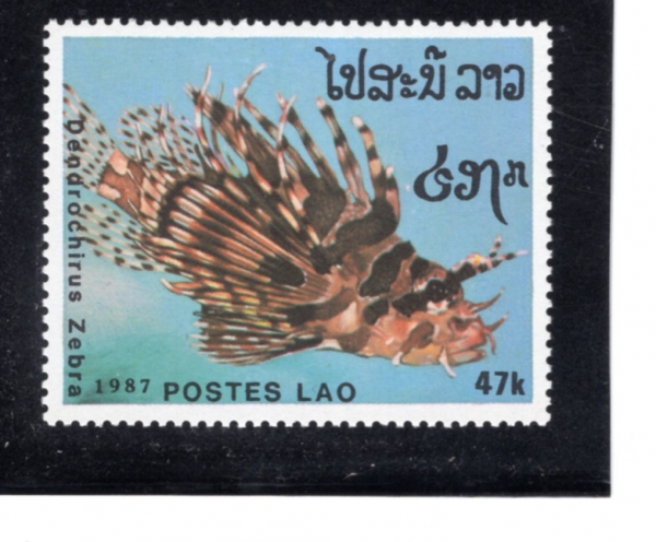 LAOS(�����)-#825-47k-DENDROCHIRUS ZEBRA(��踻 ���ڹ�����)-1987.10.14��