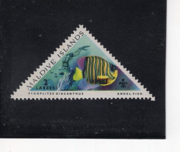 MALDIVE ISLANDS(����� ����)-#109-2 I-REGAL ANGELFISH, SULTAN\