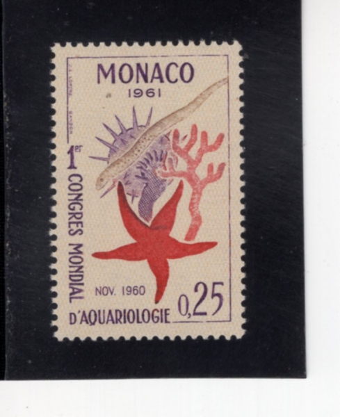 MONACO(����)-#480-25c-MURENA, STARFISH, SEA URCHIN, SEA CUCUMBER AND CORAL(���ǵ���)-1961.6.3��
