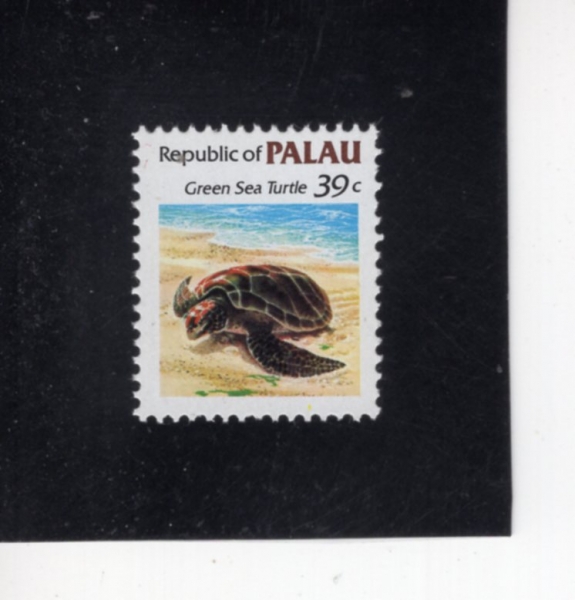 PALAU(�ȶ��)-#80-39c-GREEN SEA TURTLE(����ٴٰź�)-1985.6.11��