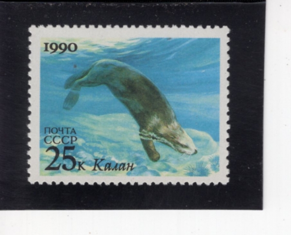 RUSSIA(���þ�)-#5935-25k-SEA OTTER(�ش�)-1990.10.3��