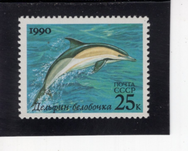 RUSSIA(���þ�)-#5936-25k-COMMON DOLPHIN(�Ϲ� ������)-1990.10.3��