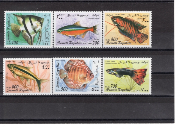 SOMALI(�Ҹ���)-#NO(6��)-TROPICAL FISH(�����)-1998��