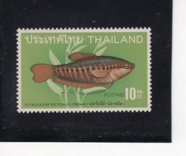 THAILAND(�±�)-#501-10s-SNACK-SKINNED GOURAMI(�찡�� �����)-1968.6.1��