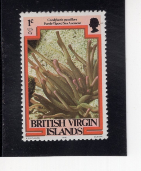 VIRGIN ISLANDS(���� ����)-#365-1c-PURPLE-TIPPED SEA ANEMONE(���ٿ� ������)-1979��