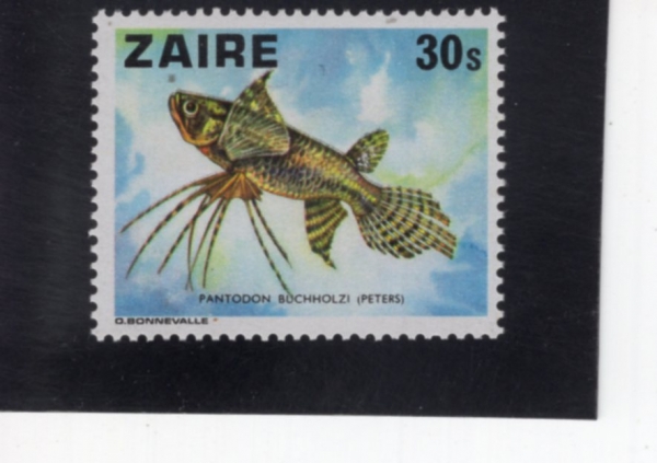 ZAIRE(���̸�)-#862-30s-PANTODON BUCHHOLZI(��� ���񹰰���)-1978.1.23��