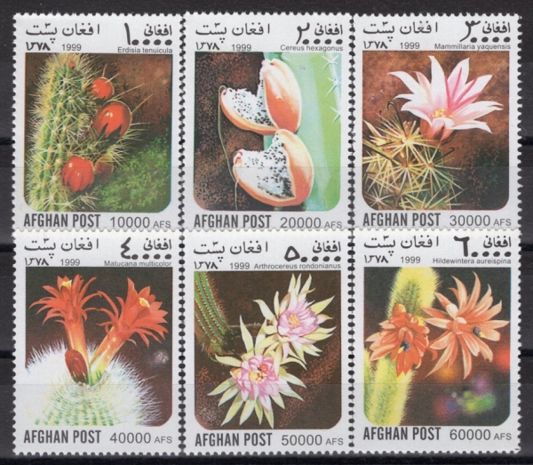 AFGHANISTAN(�������Ͻ�ź)-#NO(6��)-FLORA(�Ĺ�)-1999��