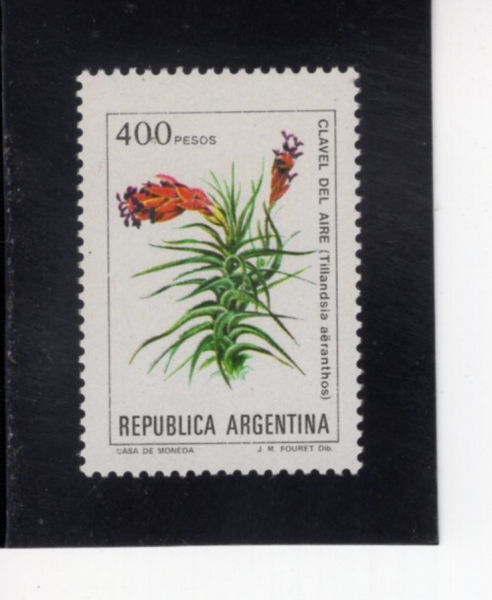 ARGENTINA(�Ƹ���Ƽ��)-#1346-400p-TILLANDSIA AERANTHOS(ƿ������ ������佺)-1982��