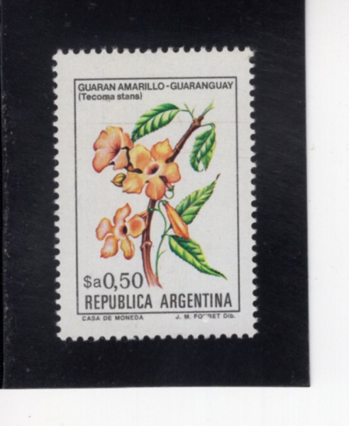 ARGENTINA(�Ƹ���Ƽ��)-#1434-50c-TECOMA STANS(���ڸ� ���Ľ�)-1983��