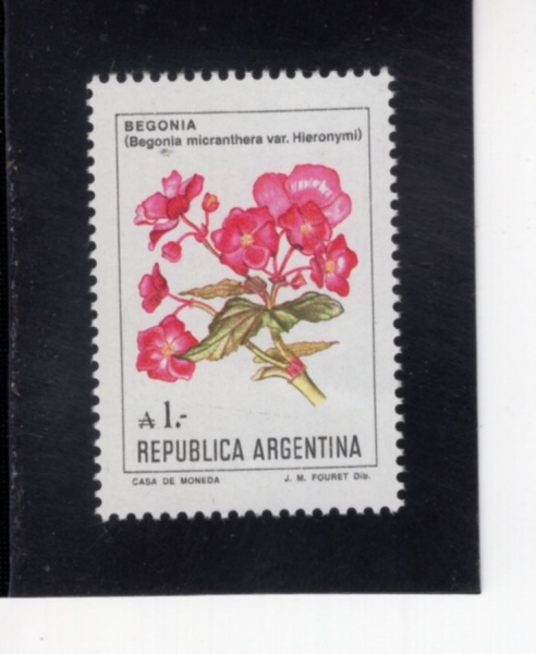 ARGENTINA(�Ƹ���Ƽ��)-#1524-2c-BEGONIA(�����Ͼ� ��)-1985��