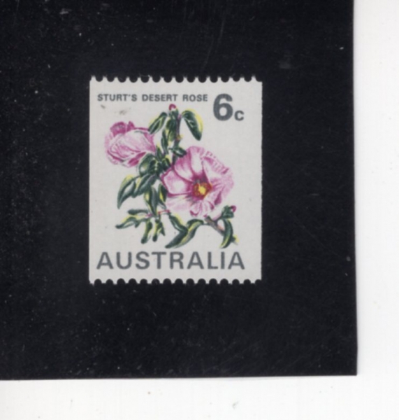 AUSTRALIA(����Ʈ���ϸ���)-#439D-6c-STURT\