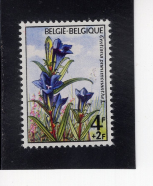BELGIUM(���⿡)-#B919-4+2fr-GENTIAN(��Ƽ�Ƴ�)-1974.12.8��