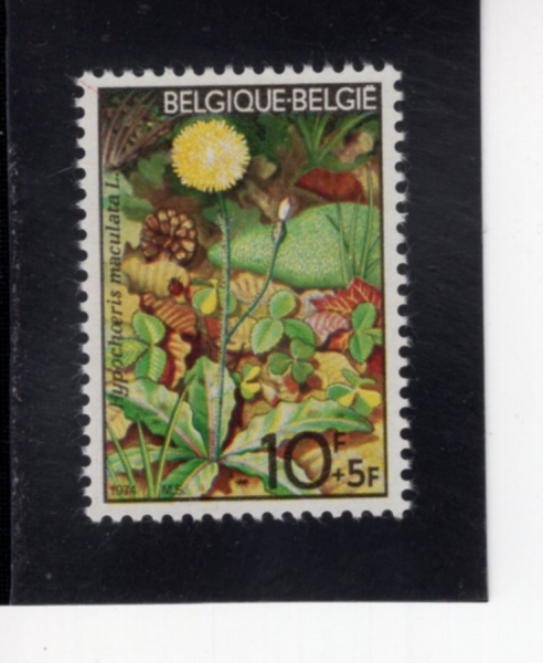 BELGIUM(���⿡)-#B922-10+5fr-SPOTTED CAT\