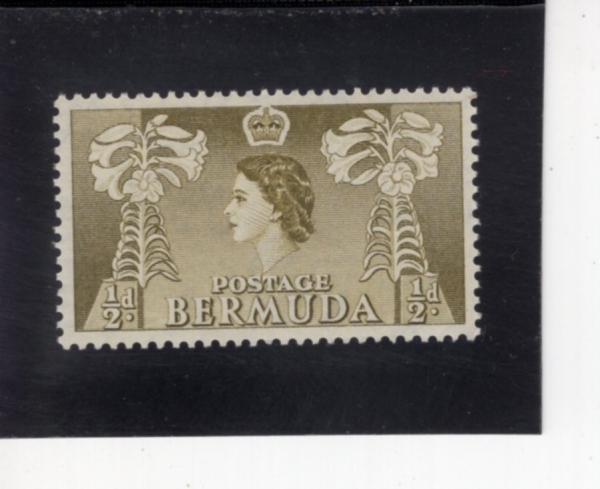 BERMUDA(���´�)-#143-1/2p-EASTER LILIES(��Ȱ�� ����)-1953��