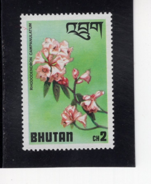 BHUTAN(��ź)-#204-2ch-CAMPANULATUM(���޷� į�Ĵ�����)-1976.2.15��