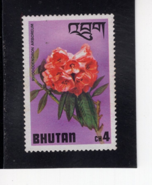 BHUTAN(��ź)-#206-4ch-RED ARBOREUM(���޷� ����)-1976.2.15��