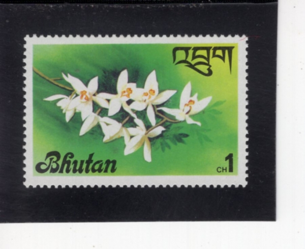 BHUTAN(��ź)-#221-1ch-ORCHID(����)-1976.5.29��