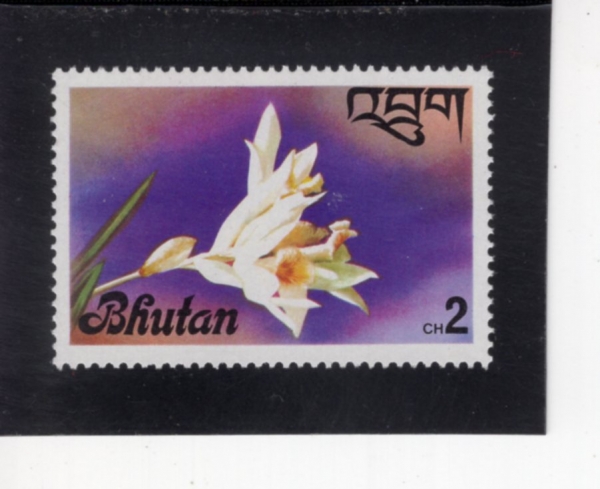 BHUTAN(��ź)-#222-2ch-ORCHID(����)-1976.5.29��
