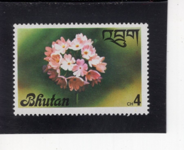 BHUTAN(��ź)-#224-4ch-ORCHID(����)-1976.5.29��