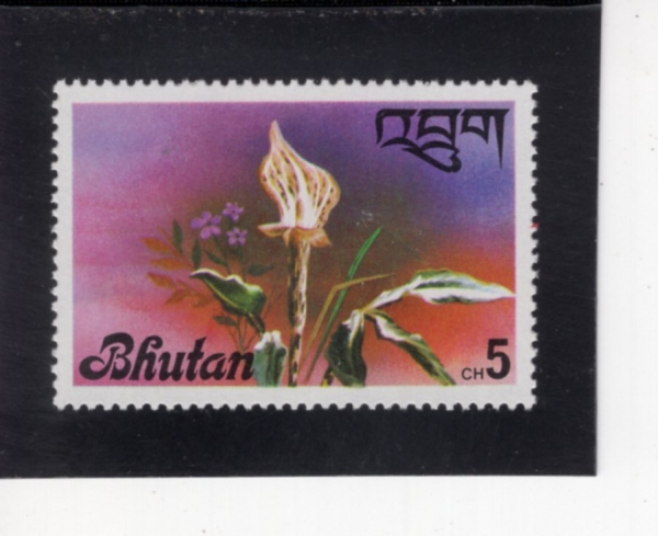 BHUTAN(��ź)-#225-5ch-ORCHID(����)-1976.5.29��