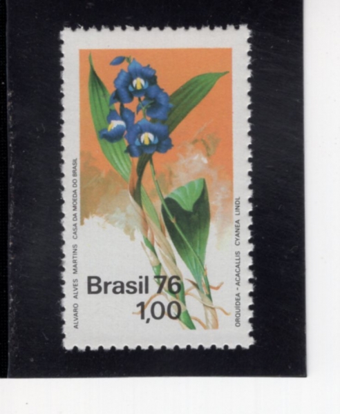 BRAZIL(�����)-#1438-1cr-ORCHID(����)-1976.6.4��
