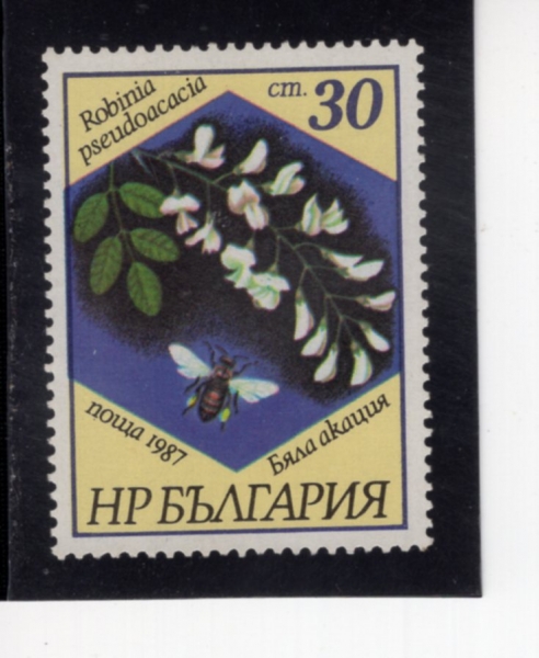 BULGARIA(�Ұ�����)-#3268-30s-ROBINIA PSEUDOACACIA(�κ�Ͼ� ������ī�þ�)-1987.7.29��