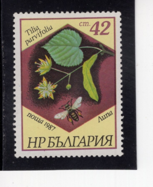 BULGARIA(�Ұ�����)-#3270-42s-TILLA PARVIFOLIA(���� �ٽ����)-1987.7.29��