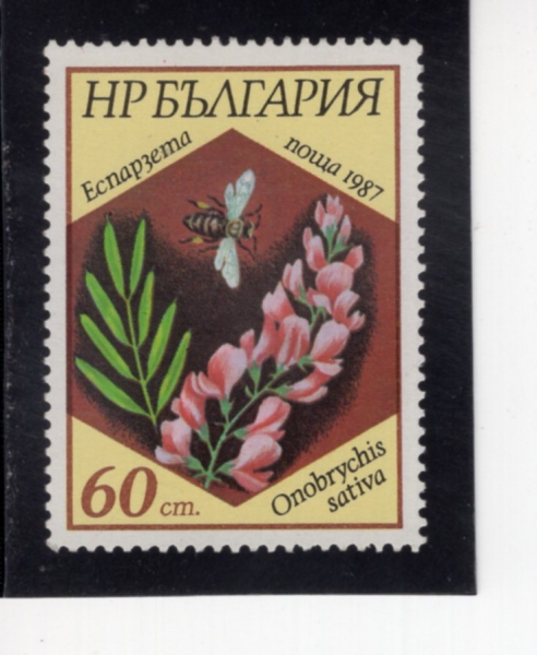 BULGARIA(�Ұ�����)-#3271-60s-ONOBRYCHIS SATIVA(����긮Ű�� ��ġ������)-1987.7.29��