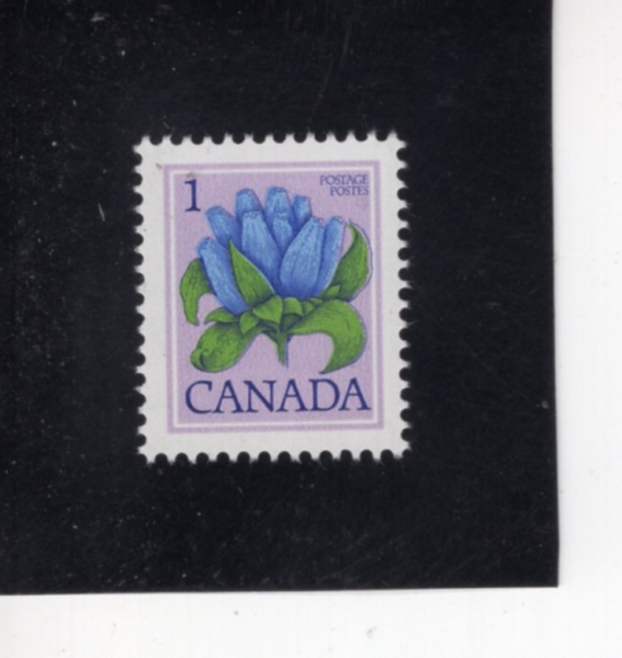 CANADA(ĳ����)-#705-1c-BOTTLE GENTIAN(��Ƽ�Ƴ� �ȵ������)-1977��