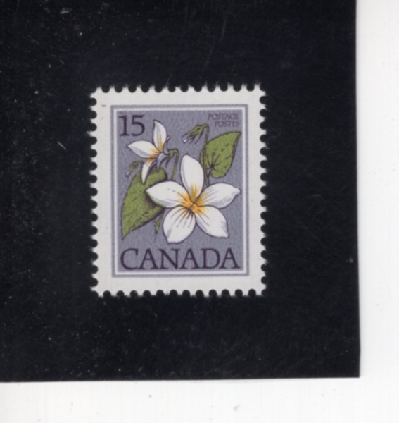 CANADA(ĳ����)-#787-15c-CANADA VIOLET(��ö� ī�����ý�)-1979��