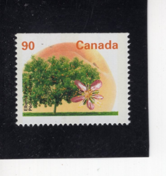 CANADA(ĳ����)-#1374-90c-ELBERTA PEACH(����Ÿ ������)-1995.7.31��