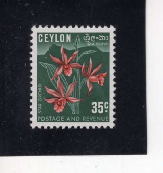 CEYLON(�Ƿ�)-#314-35c-STAR ORCHID(���� ����)-1952.2.1��