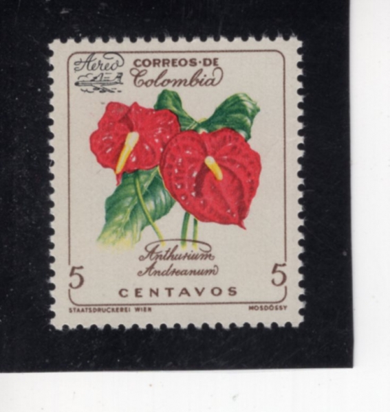 COLOMBIA(�ݷҺ��)-#716-5c-ANTHURIUM ANDREANUM(�������� �ȵ巹�ƴ�)-1960.5.10��