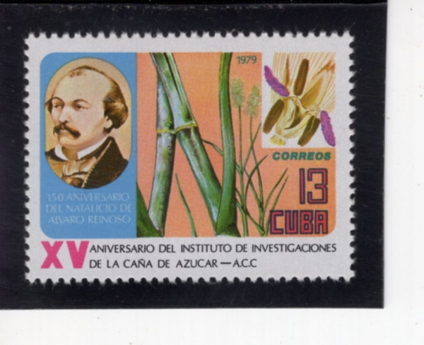 CUBA(����)-#2290-13c-REINOSO, SUGAR CANE AND BLOSSOM(�˹ٷ� �ߵ���, ����, ��)-1979.11.12��