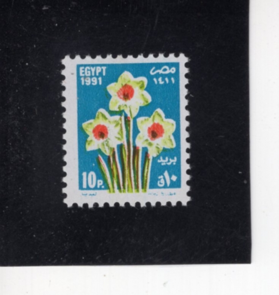 EGYPT(����Ʈ)-#1438-10p-NARCISSUS(����ȭ)-1991.4.13��