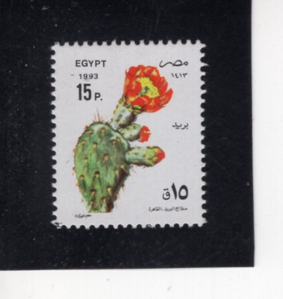 EGYPT(����Ʈ)-#1525-15p-OPUNTIA(��ǬƼ��)-1993.3.20��