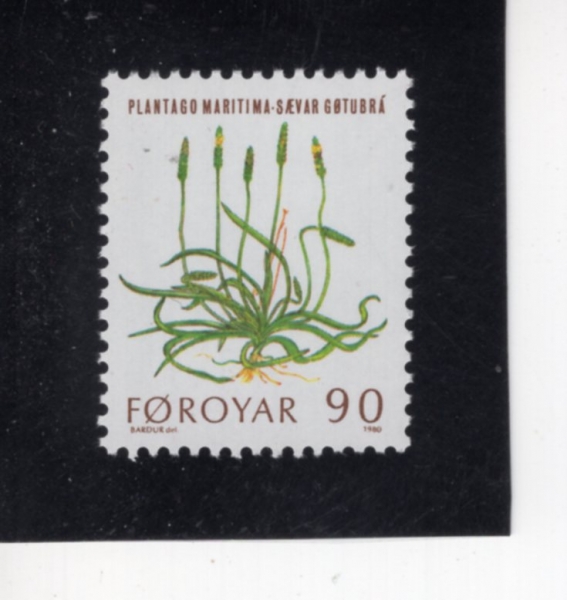 FAEROE ISLANDS(��� ����)-#48-90c-SEA PLANTAIN(�÷�Ÿ�� ����Ƽ��)-1980.3.17��