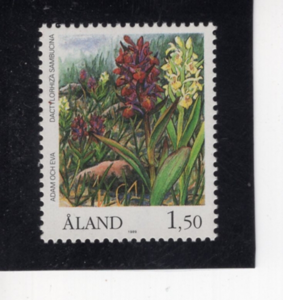 FINLAND-ALAND ISLANDS(�ö��� ����)-#35-1.50m-ORCHIDS(����)-1989.4.10��