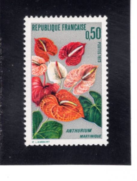 FRANCE(������)-#1356-50c-ANTHURIUM(�Ƚ�����)-1973.1.20��