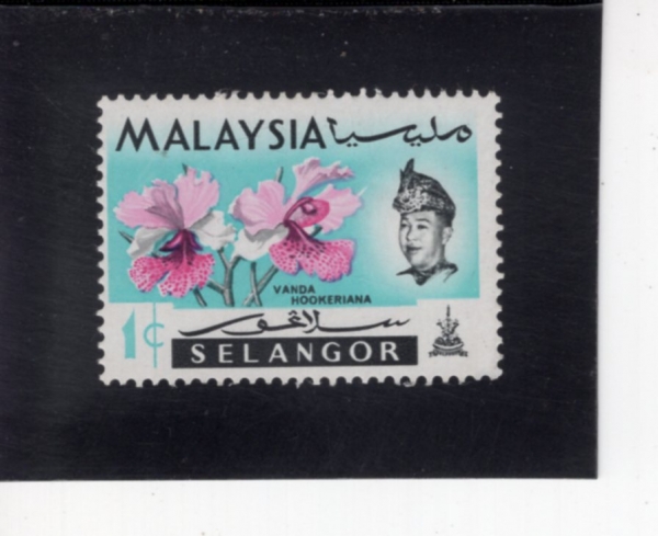 MALAYA-SELANGOR(�������� ��)-#121-1c-VANDA HOOKERIANA AND SULTAN SALAHUDDIN ABDUL AZIZ SHAH(���ʸ������� ���ɸ��Ƴ�, ���������� ����ĵ�)-1965.11.15��