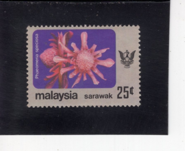 MALAYA-SARAWAK(���� ��)-#254-25c-PHAEOMERIA SPECIOSA(��Ʋ���Զ� ����Ƽ����, ���� ����)-1979.4.30��