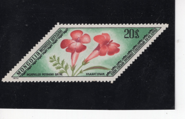 MONGOLIA(����)-#835-20m-INGARVILLEA POTANINII(��ī�������� ��Ÿ�ϴ�)-1975.5.24��
