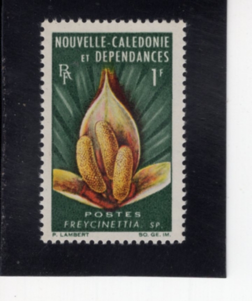 NEW CALEDONIA(��Į�����Ͼ�)-#330-1fr-FREYCINETTIA(�����̽ó�Ƽ��)-1964��