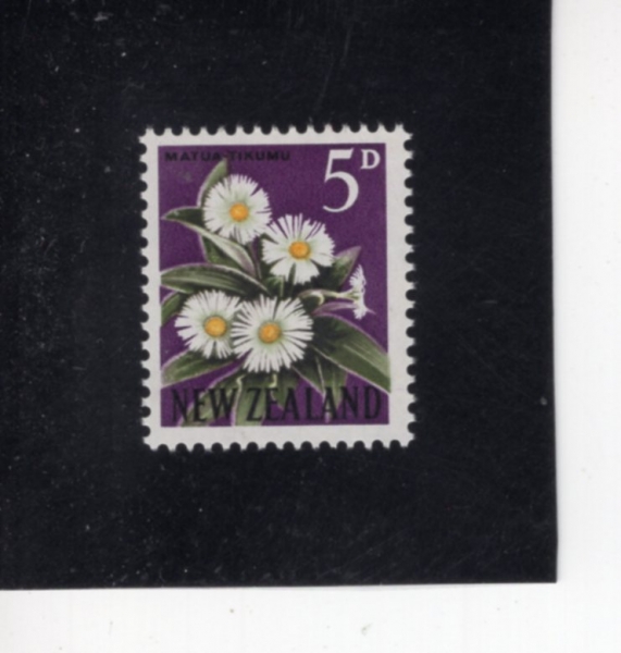 NEW ZEALAND(��������)-#337A-5p-MOUNTAIN DAISY(����ƾ ������)-1960��